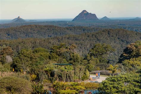 Visit Maleny Botanic Gardens