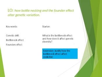 Genetic Drift Lab Simulation by TeachEasy4Teachers | TPT