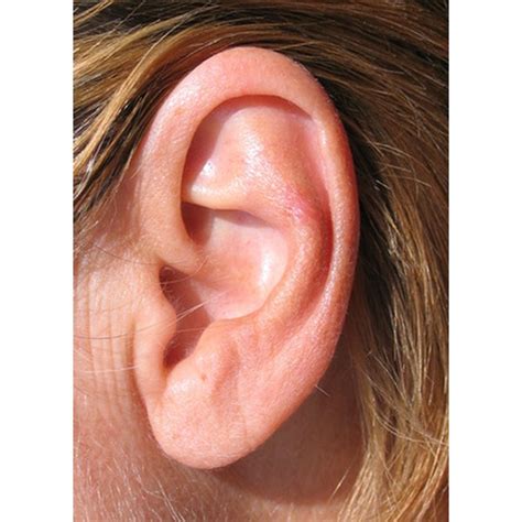 Ear Crystals & Dizziness | Healthfully