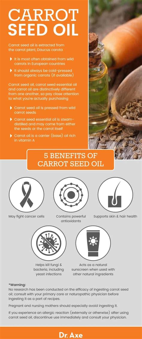 Carrot Seed Oil Benefits and Uses - Dr. Axe