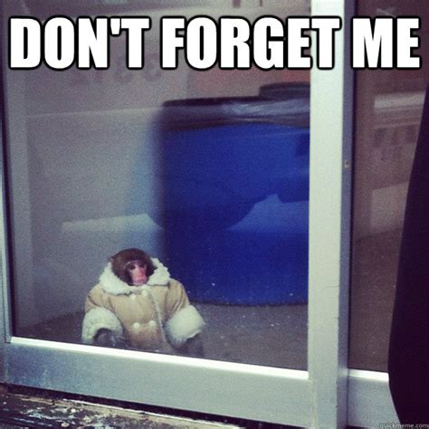 DON'T FORGET ME - Ikea Monkey - quickmeme