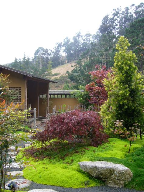 Japanese Zen Garden: Japanese Tea House