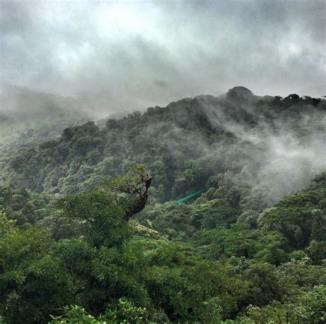 Make the best of your Monteverde Cloud Forest experience | Enchanting Costa Rica