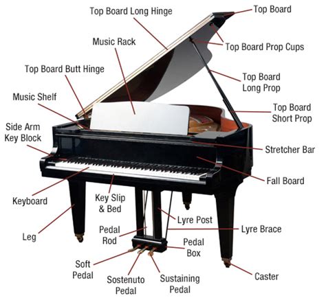 Structure Of A Piano - Omran Pandita