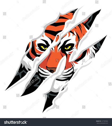 Tiger Claw Mark Stock Vector Illustration 127787003 : Shutterstock