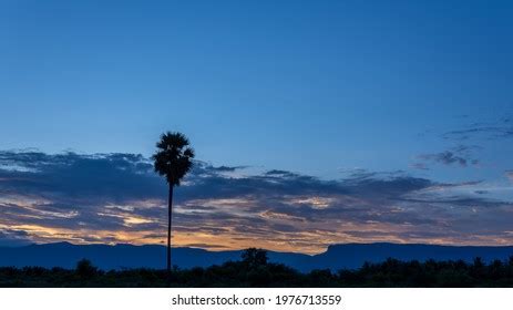 43 Sathyamangalam forest Images, Stock Photos & Vectors | Shutterstock