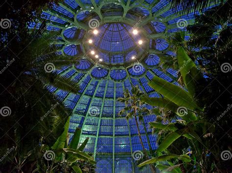 Dome of the Royal Greenhouse of Laeken at Night Stock Image - Image of structure, collection ...
