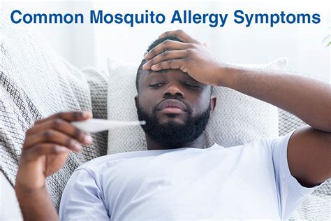 Are You Allergic to Mosquitoes? A Definitive Guide