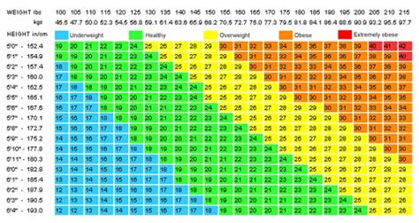 Your Ideal Weight According To Your Height - All Healthy News