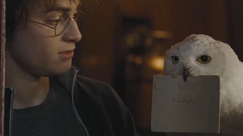 Harry Potter And The Deathly Hallows: Why Hedwig Had To Die