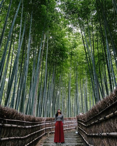 33 Truly Astounding Places To Visit In Japan - Hostelworld