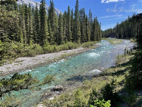 17 Fantastic Hiking Trails in the Town of Banff – Die Fernweherin