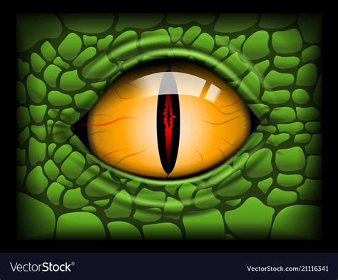 Scary eye of a reptile image Royalty Free Vector Image