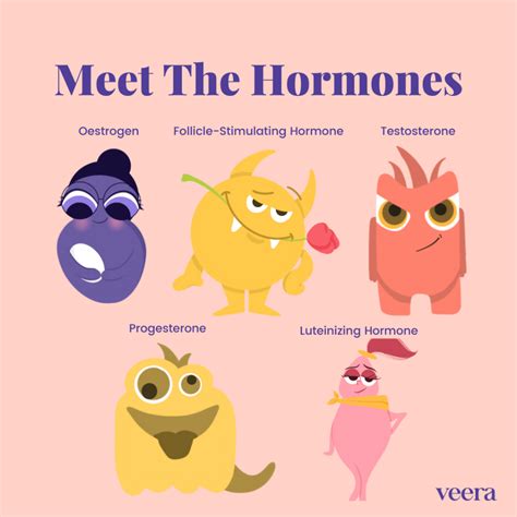 Know Oestrogen, Progesterone & other Hormones - Veera Health