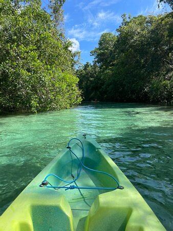 Weeki Wachee Kayaking - All You Need to Know BEFORE You Go