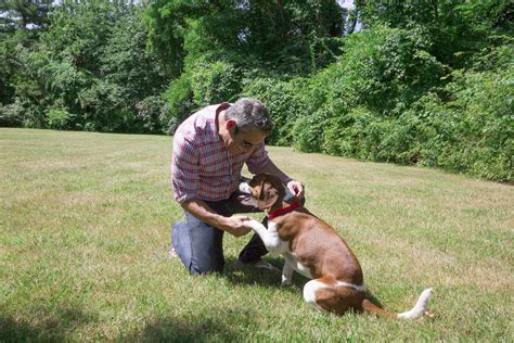 Andy Cohen on how his rescue dog changed his life, and how you can ...