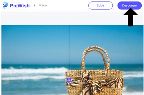 PicWish: Tutorialesde procesamiento de imágenes en línea gratuitos