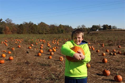 Fall Pumpkin Patch Fun - Hobbies on a Budget