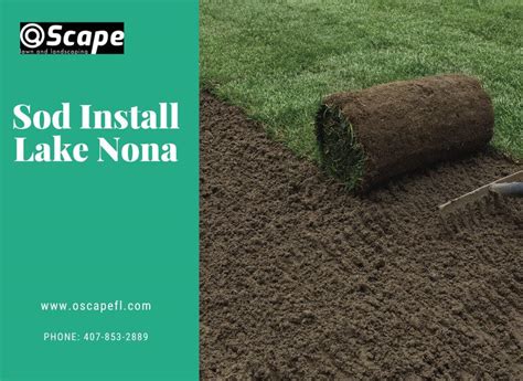 Upgrade Your Lawn with Our Quick Sod Installation by oscapeflus on DeviantArt