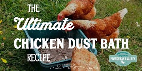 Chickens LOVE a dust bath, and surprisingly rabbits do too! Why not set up an easy chicken dust ...