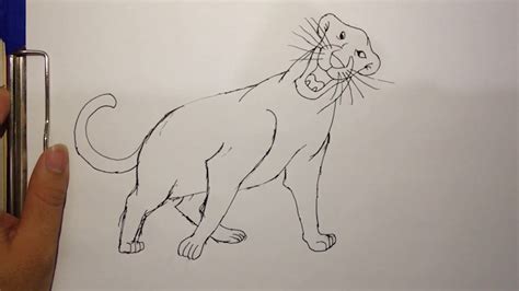 Jungle Book Bagheera Drawing / Bagheera How To Draw Bagheera From Jungle Book Quickly And Easy ...