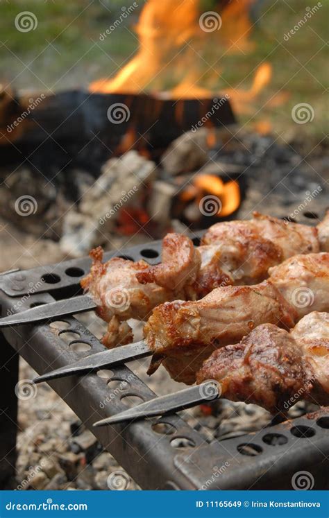 Grilled meat on skewers stock image. Image of coal, meat - 11165649