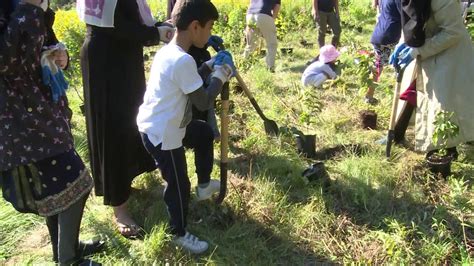 Lajna Canada Tree Planting Event