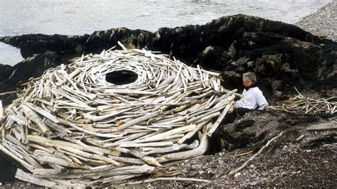 Rivers and Tides: Andy Goldsworthy Working with Time (2001) – MUBI