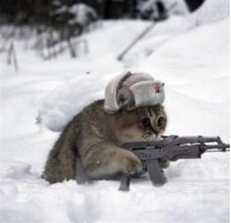 Comrade Cat, Defender of Soviet Russia : Bossfight