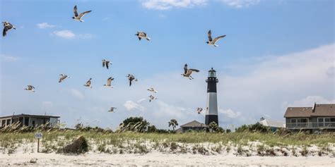 11 Fun Things to Do in Tybee Island | VisitTybee.com