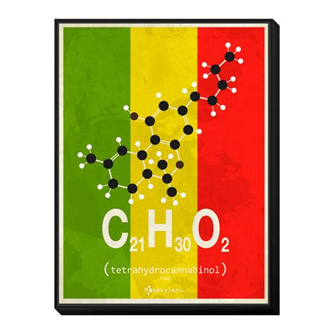 Molecule Thc (12"W x 20"H x 1"D) - Molecular Art - Touch of Modern