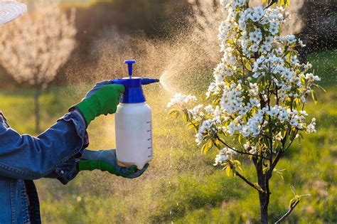 Des chercheurs de l'UCLA et de Harvard ont identifié 10 insecticides neurotoxiques - Nouvelles ...