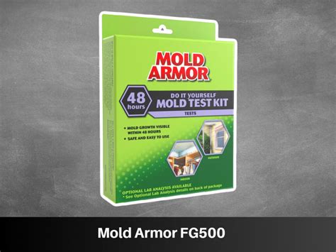 6 Best Mold Test Kits for at Home Testing