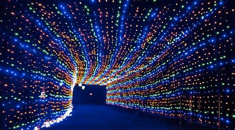 This drive-thru Christmas light tunnel is just 2 hours from Toronto | Daily Hive Toronto