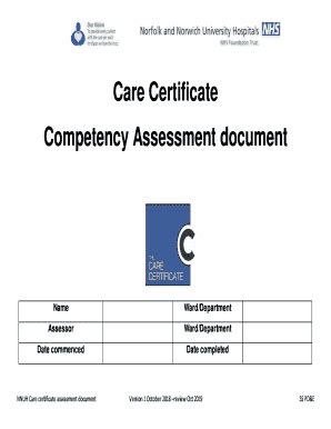 Fillable Online Care Certificate Competency Assessment document ...