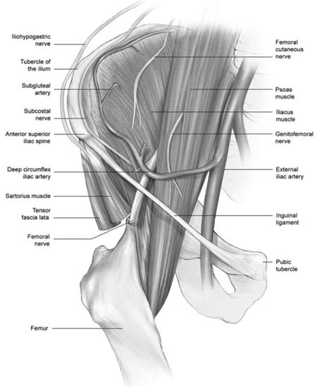 Iliac Crest Bone Harvest - Dr. Paul Mirdamadi DDS