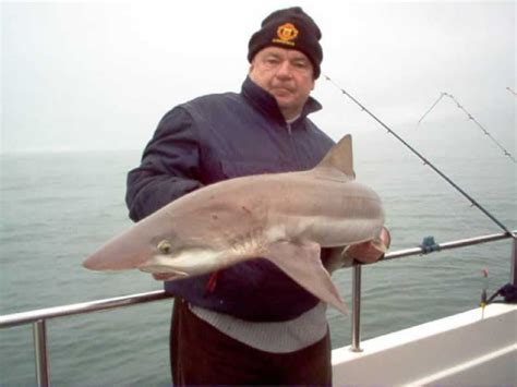 Tope Fishing Photos in The Bristol Channel