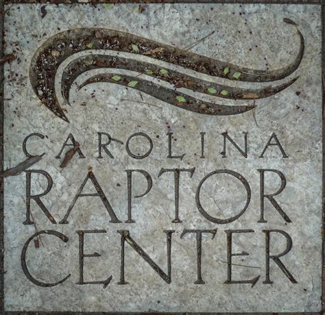 Flickriver: Photoset 'Carolina Raptor Center 2017' by raddad! aka Randy ...