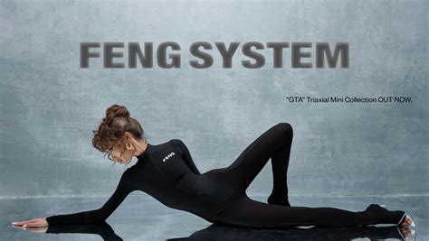 FENG SYSTEM OFFICIAL SITE