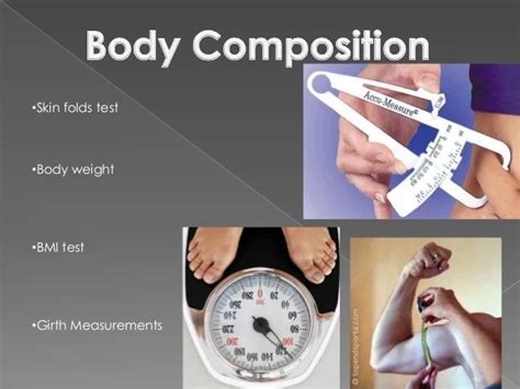 Example Of Body Composition In Physical Fitness - FitnessRetro