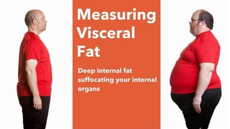 Measuring Visceral Fat: The Inside Story - Supplement Place