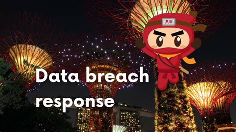 A guide to data breach response: What organisations should know ...