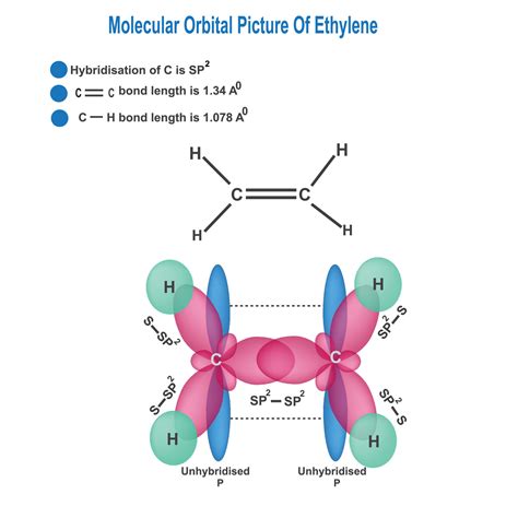 molecular orbital picture of ethylene, formation of sp2 hybridisation. 28282149 Vector Art at ...