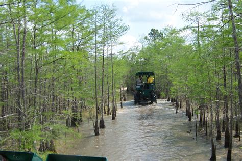 Off-Road Vehicle Use - Big Cypress National Preserve (U.S. National ...