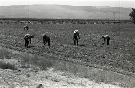 How Photos Tell the Story of a Migrant Farm Community to a New ...