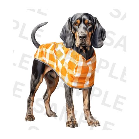 Smokey Tennessee Vols Mascot Art Print Transparent PNG for Sublimation ...