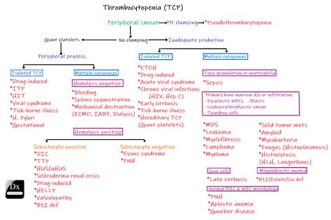 Pathophysiology Of Thrombocytopenia