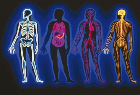 Pathophysiology – it's Importance in Medical Studies