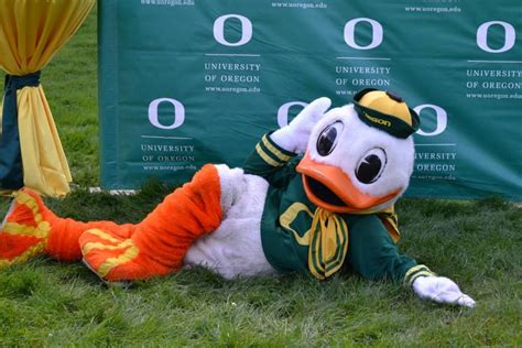 The Duck, University of Oregon Mascot University University, University Of Oregon, State Of ...