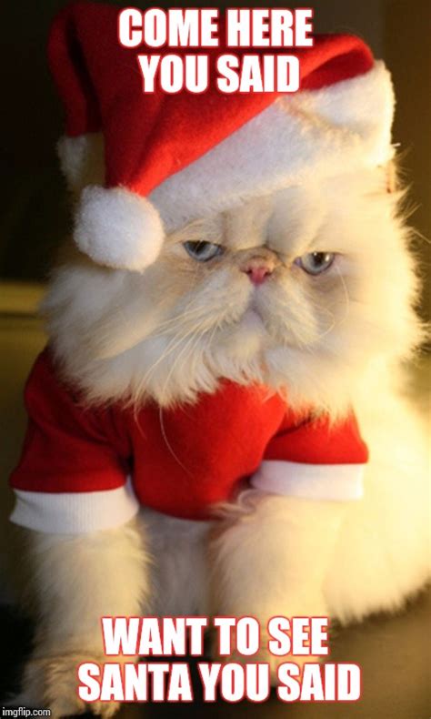 Image tagged in grumpy cat,christmas,santa,cats,cute,memes - Imgflip